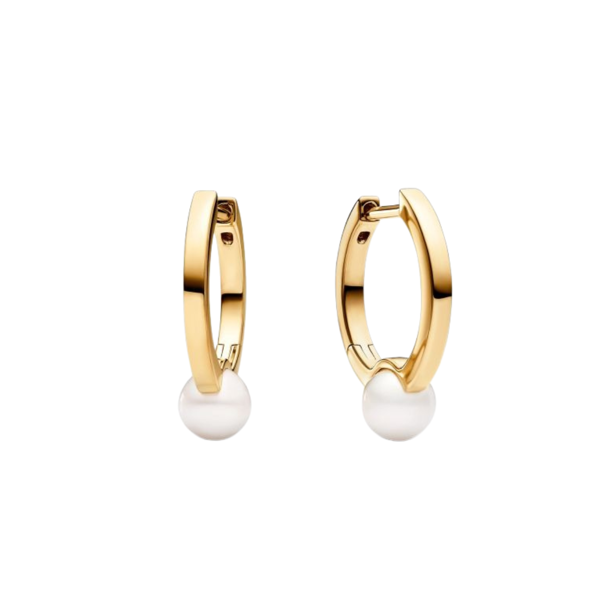RINGS_22.png